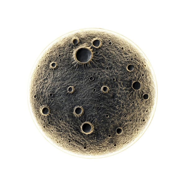 40 in. 1-Light 3D Embossed Moon Pattern White Plug-In Dimmable LED Wall Sconce with 3-Color Temperature and Remote
