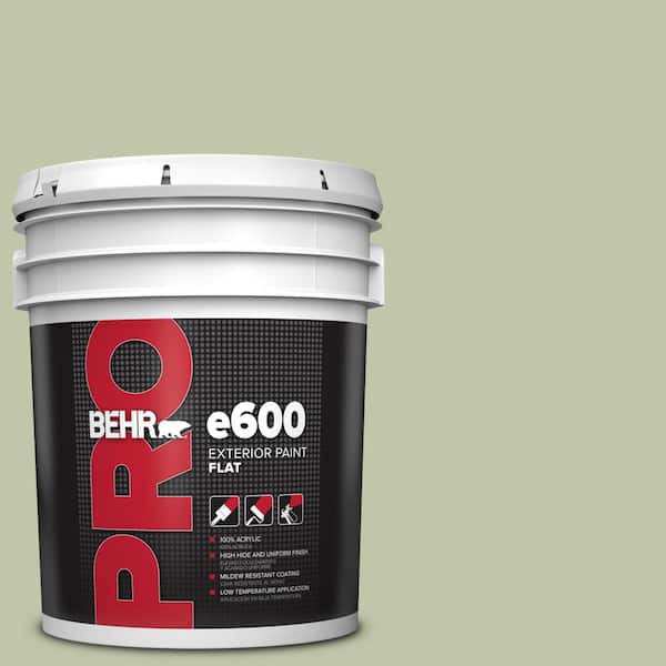 5 Gal. #PPU10-08 Minted Lemon Flat Exterior Paint
