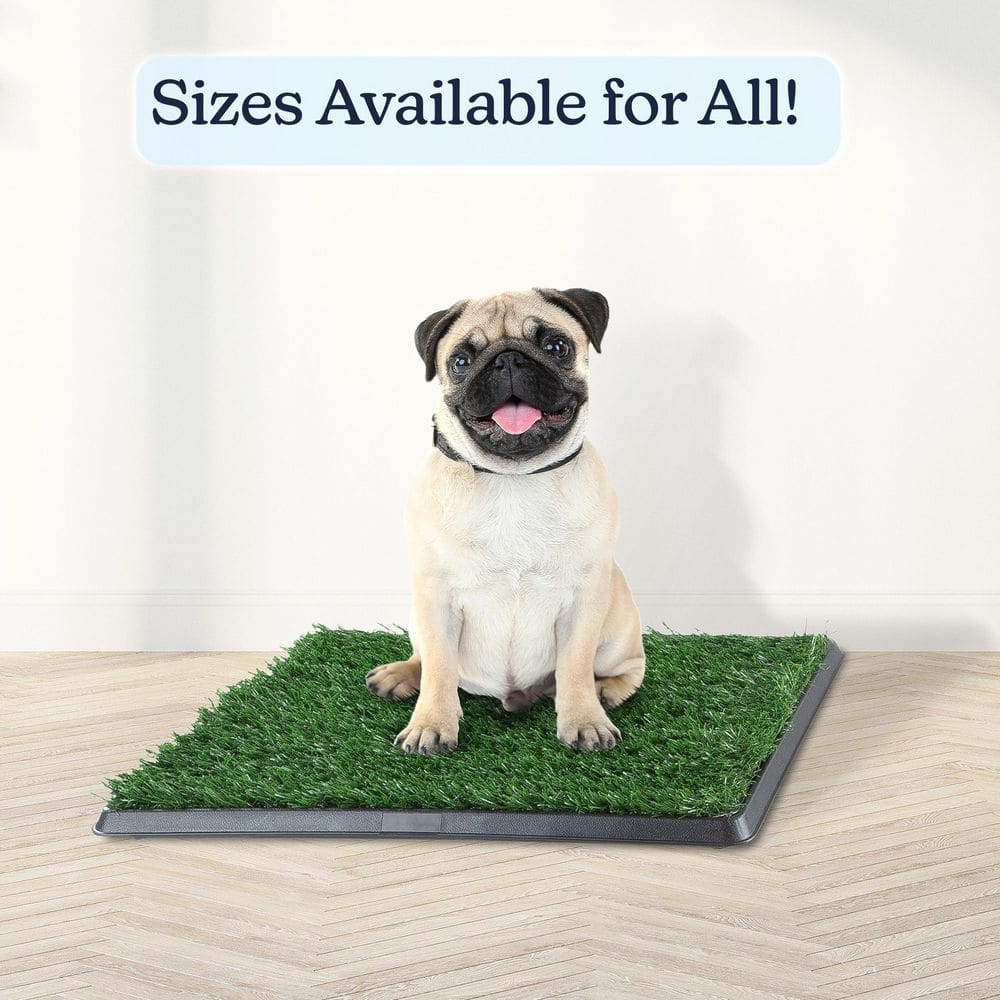 Small Green Artificial Grass Puppy Pee Pad with Tray