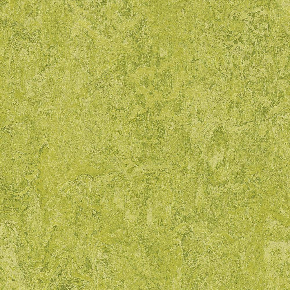 Marmoleum Cinch Loc Seal Chartreuse 9.8 mm Thick x 11.81 in. Wide