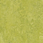 Chartreuse 9.8 mm Thick x 11.81 in. Wide x 11.81 in. Length Laminate Flooring (6.78 sq. ft./Case)