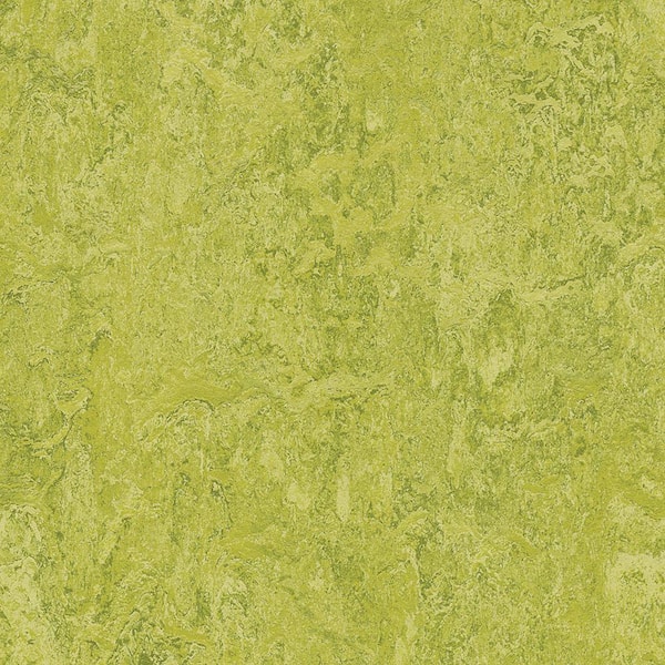 Marmoleum Cinch Loc Seal Chartreuse 9.8 mm Thick x 11.81 in. Wide X 11.81 in. Length Laminate Floor Tile (6.78 sq. ft/Case)