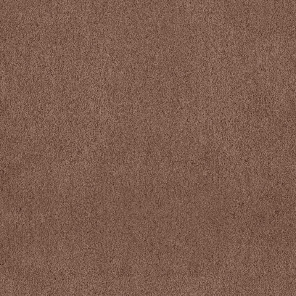 8 in. x 8 in. Texture Carpet Sample - Dreamy Daze II -Color Lena price history on PriceWatchPro
