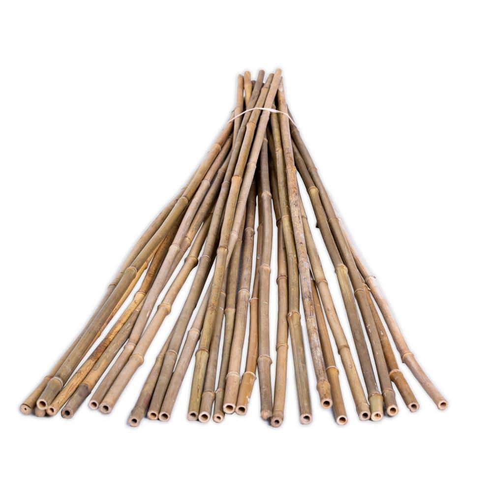 Natural Bamboo Garden Stakes for Plant Support, 48" Length
