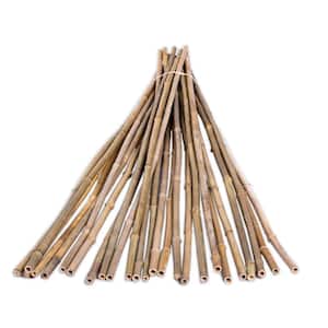 1/2 in. x 4 ft. Natural Bamboo Poles (25-Pack/Bundled)