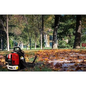 Black and Red 175 MPH 524 CFM 52cc 2-Cycle Gas Backpack Leaf Blower with Extended Tube.