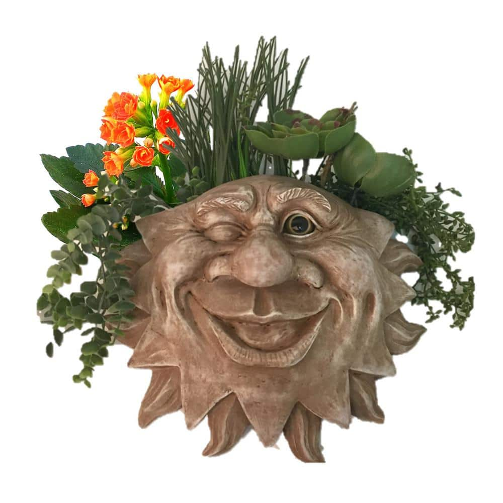 HOMESTYLES 13 in. Stone Wash Mr. Sun Shine Muggly Tree Face