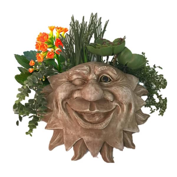 HOMESTYLES 13 in. Stone Wash Mr. Sun Shine Muggly Tree Face Wall Statue Planter