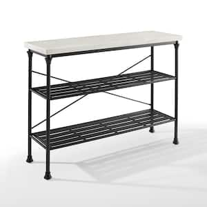 Madeleine 48 in. Matte Black Standard Rectangle Composite Console Table with Storage