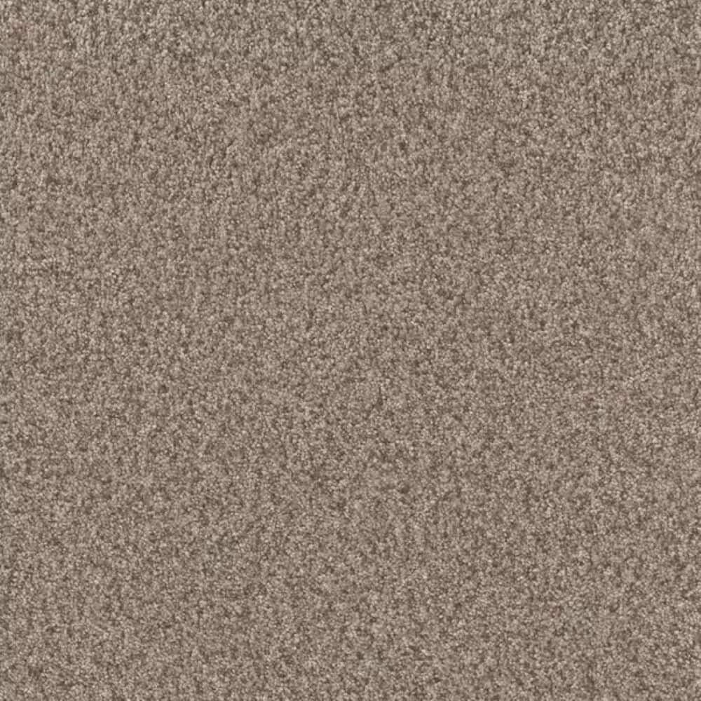 8 in. x 8 in. Texture Carpet Sample-Manuscript III-Color Story price history on PriceWatchPro