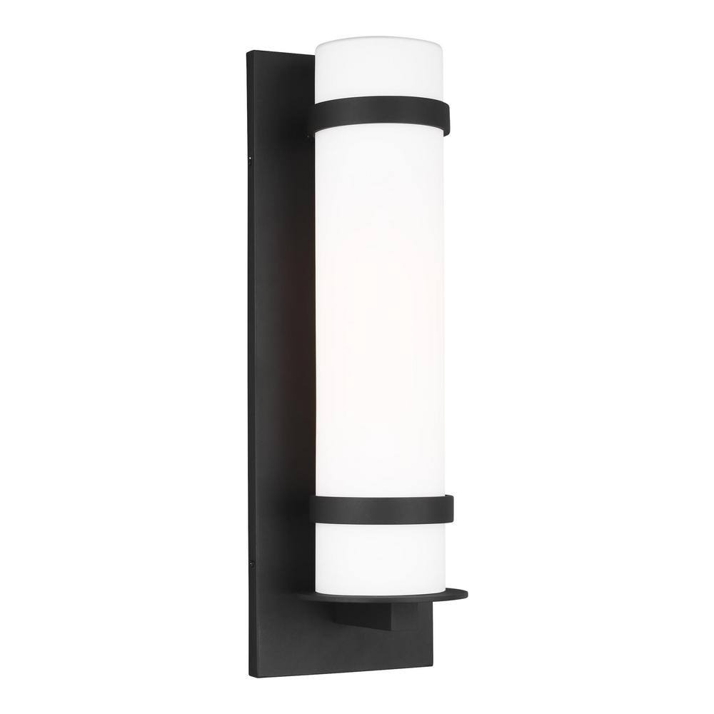 Alban 24" Black Bronze Dimmable Outdoor Wall Lantern with Etched Opal Glass