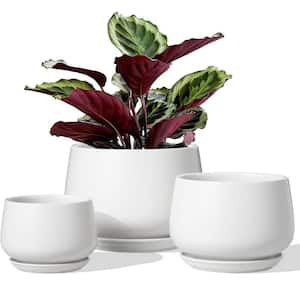 Modern 6.5 in. L x 6.5 in. W x 5.8 in. H White Ceramic Round Indoor Planter (3-Pack)