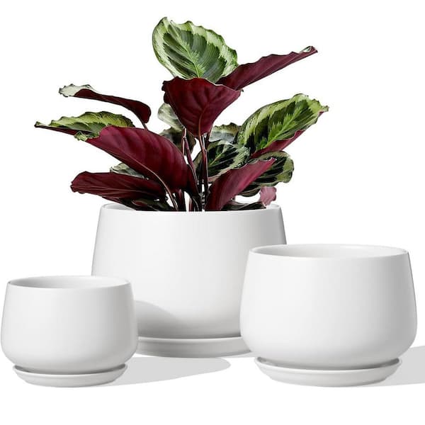 ITOPFOX Modern 6.5 in. L x 6.5 in. W x 5.8 in. H White Ceramic Round Indoor Planter (3-Pack)