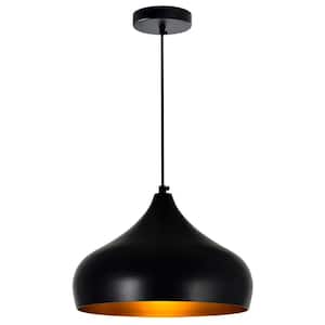 Dynamic 1 Light Down Pendant With Black Finish