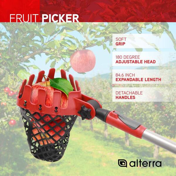 Alterra 84 6 In Aluminum Handle Fruit Picker Amfp02 The Home Depot