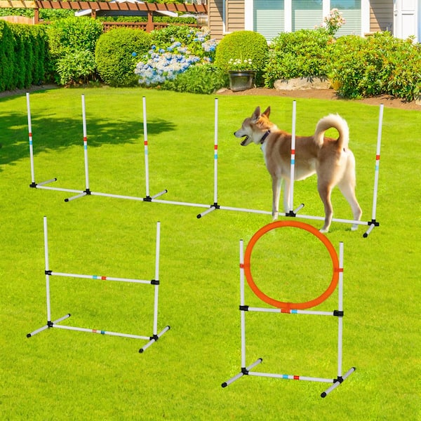 Tunearary 3-Piece Dog Agility Gear Set, Obstacle Course, White