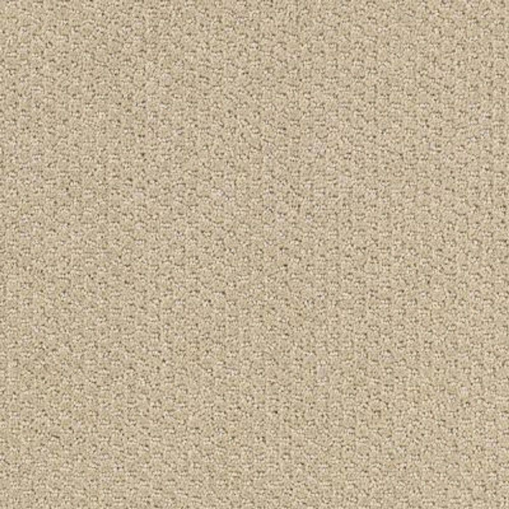 8 in. x 8 in. Pattern Carpet Sample - Katama II -Color Neutral Ground price history on PriceWatchPro