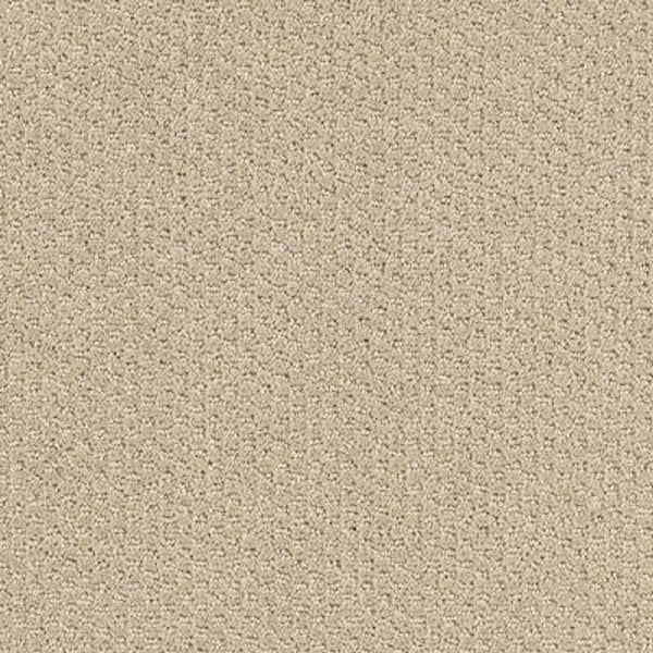 Lifeproof 8 in. x 8 in. Pattern Carpet Sample - Katama II -Color Neutral Ground