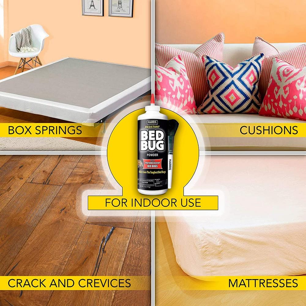 Harris Resistant Bed Bug Powder with Applicator Brush, 4 Oz