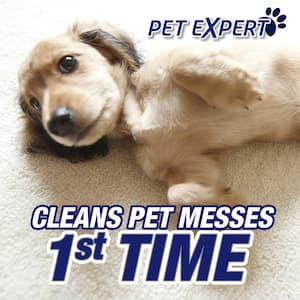 22 oz. Pet Expert High Traffic Foam Carpet Cleaner (12-Pack)