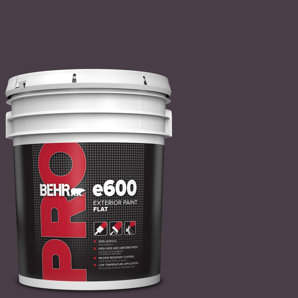 5 gal. #PPU17-20 Eclectic Purple Flat Exterior Paint price history on PriceWatchPro