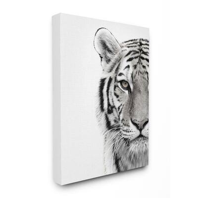 36 in. x 48 in. "White Tiger Close Up Black and White Photography" by Design Fabrikken Canvas Wall Art