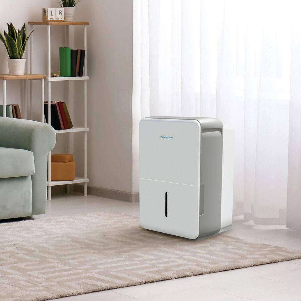Energy Star White Portable Dehumidifier with Humidistat