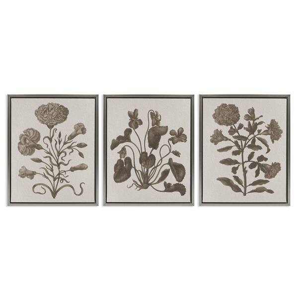 Vintage Country Botanicals by Lil' Rue 3 Pieces Gray Floater Frame Nature Graphic Art Print 31 in. x 25 in.