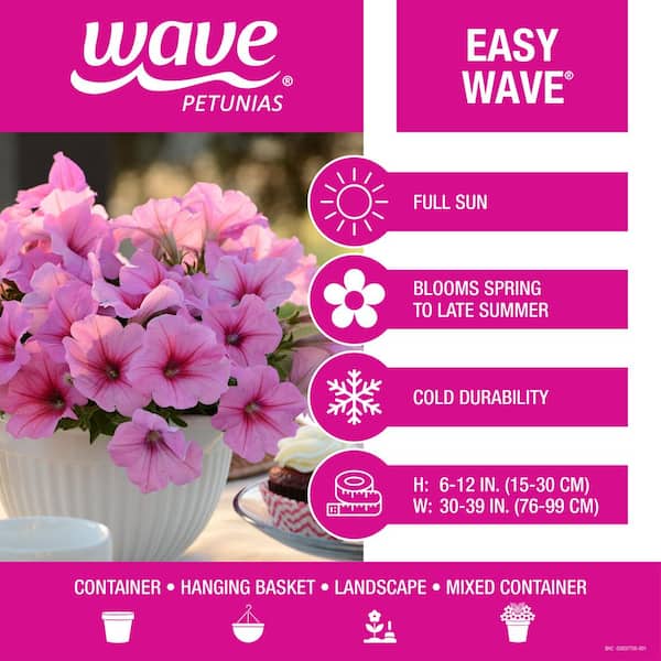 1.5 PT. White Easy Wave Petunia Annual Plant with White Flowers (5-Pack)