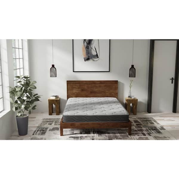 OMNE SLEEP Hybrid Queen Firm Countering Comfort Layer Pocketed Coil System 8 in. Bed-in a-Box Mattress