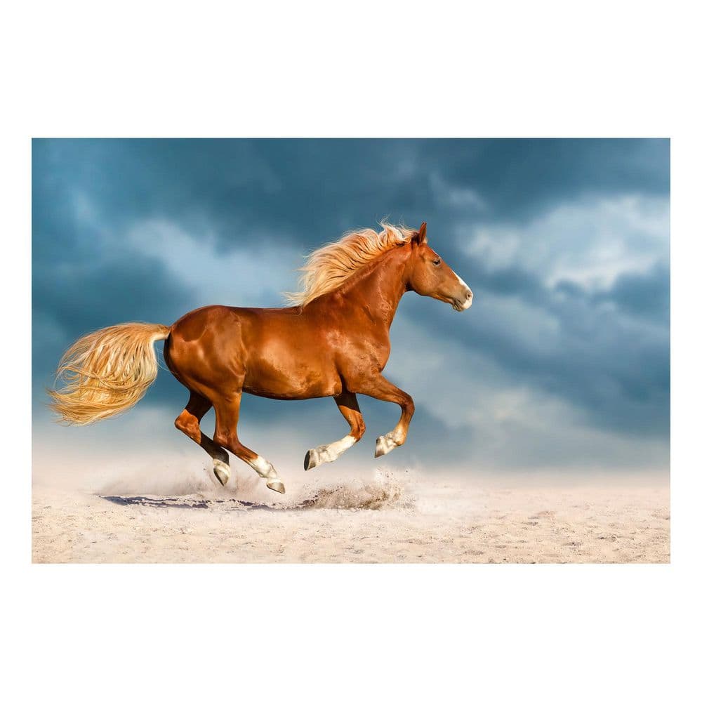 1 Piece Unframed Graphic Print Animal Art Print 40 in. x 60 in. price history on PriceWatchPro