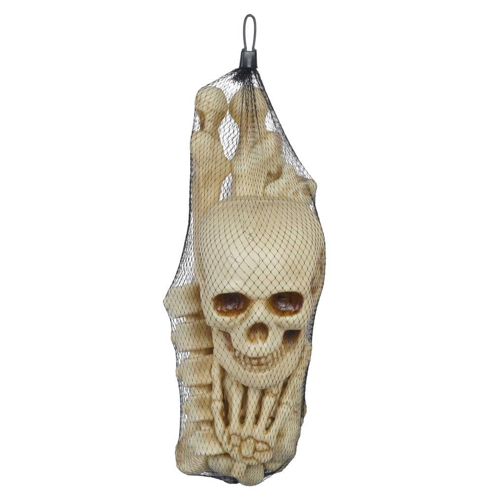 Home Accents Holiday 12-Piece Bag of Halloween Bones 5349-16268HD ...