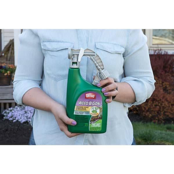 house plant kit Green Our Planet Home Garden Starter Kit main image 0
