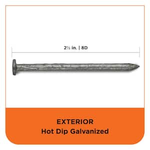 2-1/2 in. (8D) Hot Dipped Galvanized Smooth Common Nail 5 lbs. (465-Count)