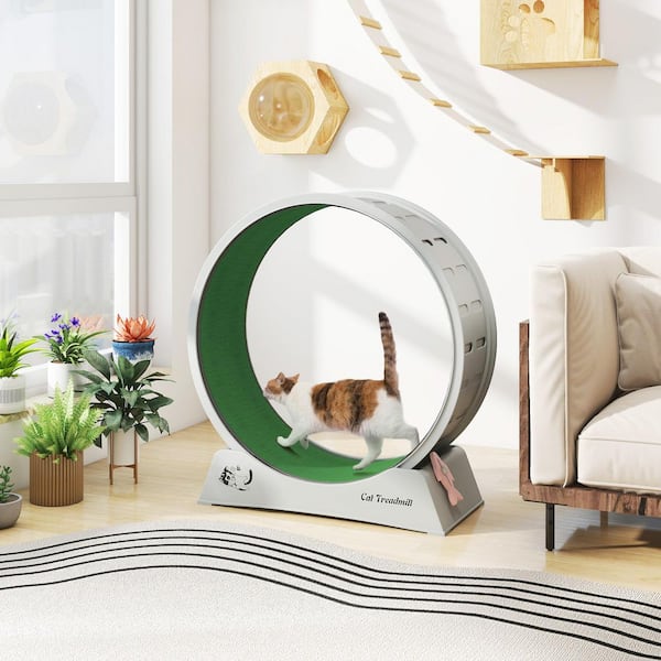 Cat Treadmill Exercise Wheel Lockable, Large