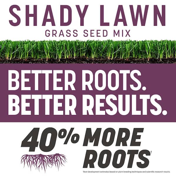 The Rebels 20 lb. 5,000 sq. ft. Shady Lawn Grass Seed Mix