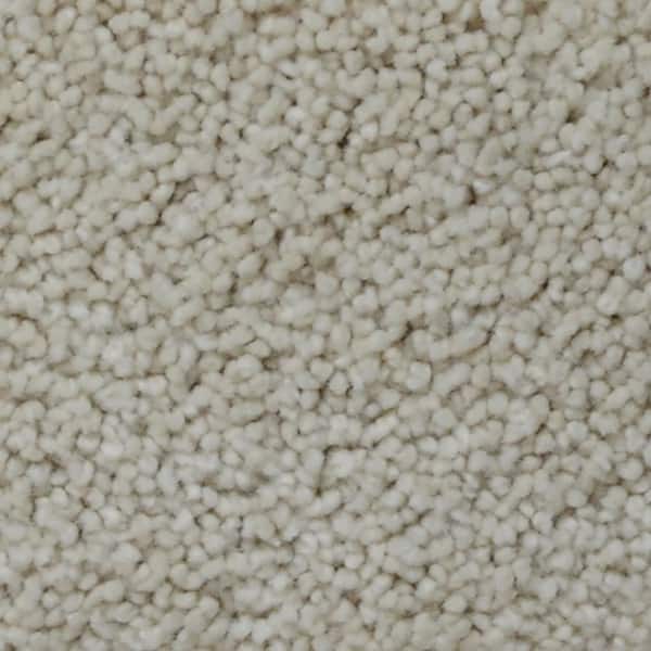 Home Decorators Collection Stargazer  - Visionary - Beige 32 oz. SD Polyester Texture Installed Carpet