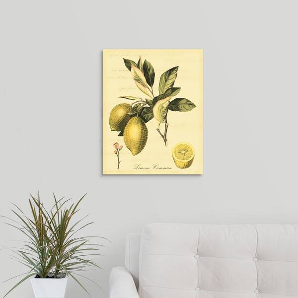 Painted Lemon Tree 16 x 20 Canvas Wall Art