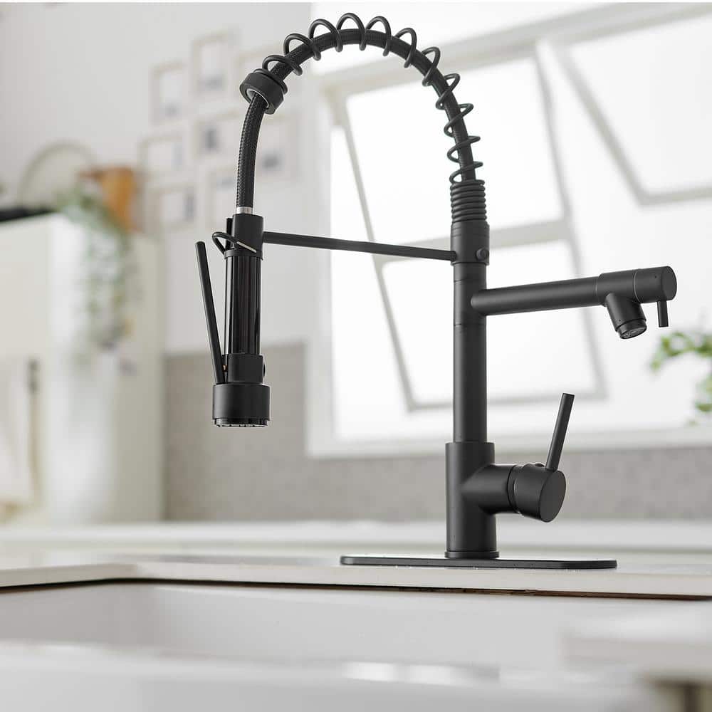 Matte Black High-Arc Kitchen Faucet with Pull-Out Spray
