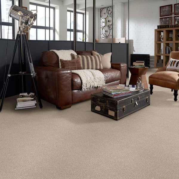 Karma I - Sheer Natural - Brown 41.2 oz. Nylon Texture Installed Carpet