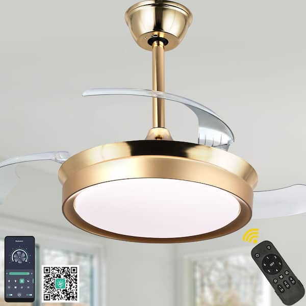 Nimbella 36 in. Indoor Gold Modern Ceiling Fan with Light and Remote, Reversible DC Motor Bladeless Downrod Fandelier