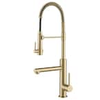 Artec Pro Single-Handle Pull-Down Sprayer Kitchen Faucet and Pot Filler in Brushed Gold