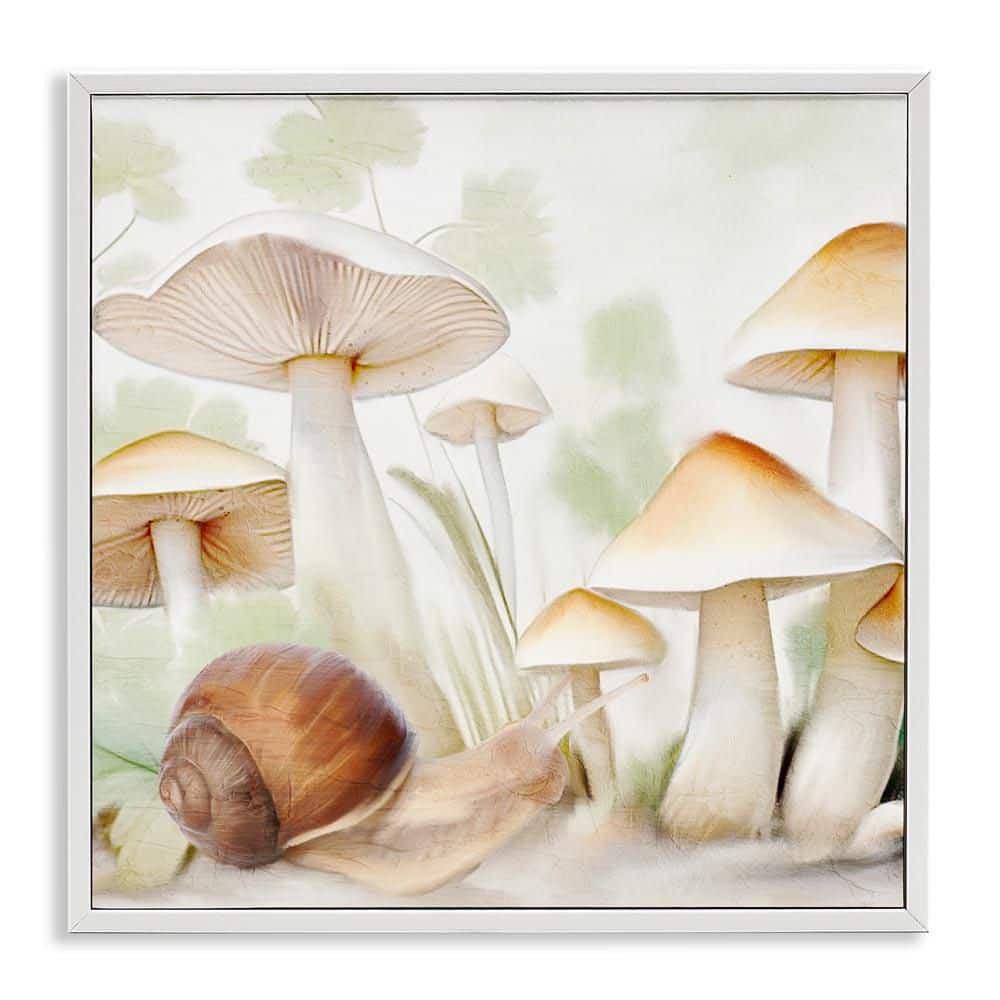 Snail Among Mushrooms by Kim Allen White Framed Nature Giclee Art Print 24 in. x 24 in. price history on PriceWatchPro
