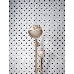 Artifacts 1-Spray Wall Mount Handheld Shower Head with 2.5 GPM in Vibrant Brushed Bronze