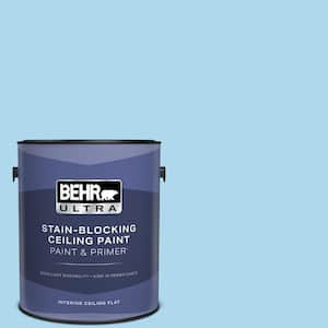 1 gal. #540A-3 Blue Feather Ceiling Flat Interior Paint and Primer