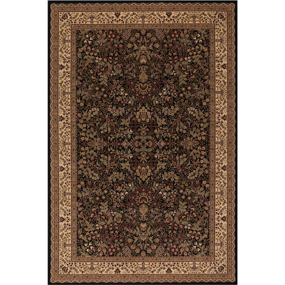 Persian Classics Sarouk Black 4 ft. x 6 ft. Area Rug price history on PriceWatchPro