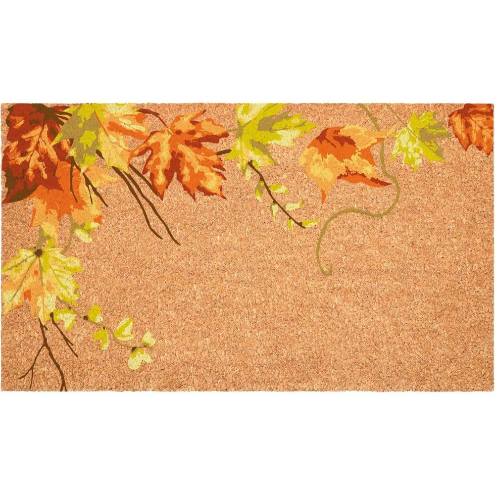 Multi-Colored 36 in. x 24 in. Coir Outdoor Door Mat price history on PriceWatchPro