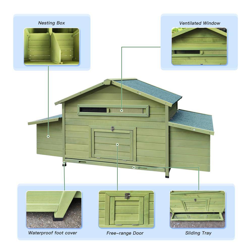 Large Green Wooden Chicken Coop with Nesting Boxes