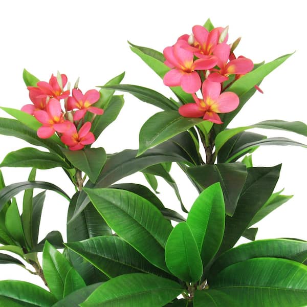 LIVING LUXURY 4 ft. Real Touch Fuchsia Artificial Plumeria Tree