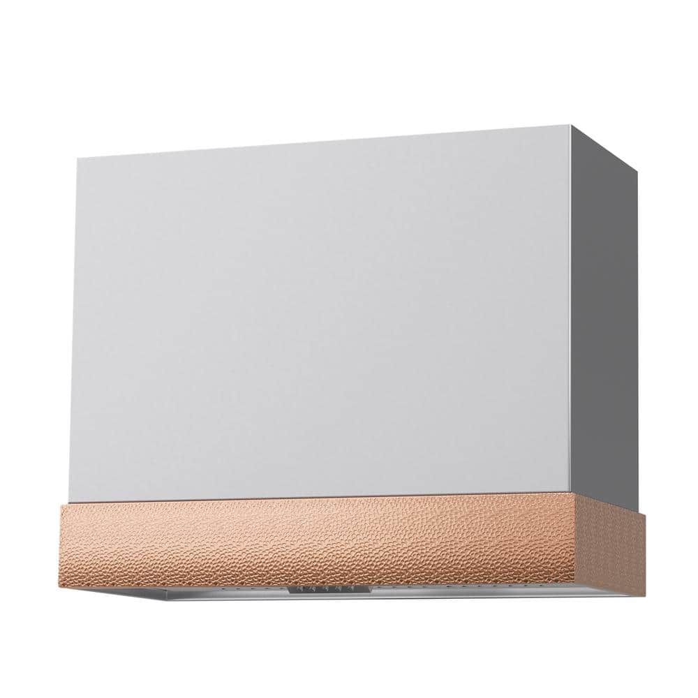 36 in. Stainless Steel Range Hood with Vent Motor, 600 CFM, 3-Speed, Wall Mount, in Brushed Stainless Steel with Copper